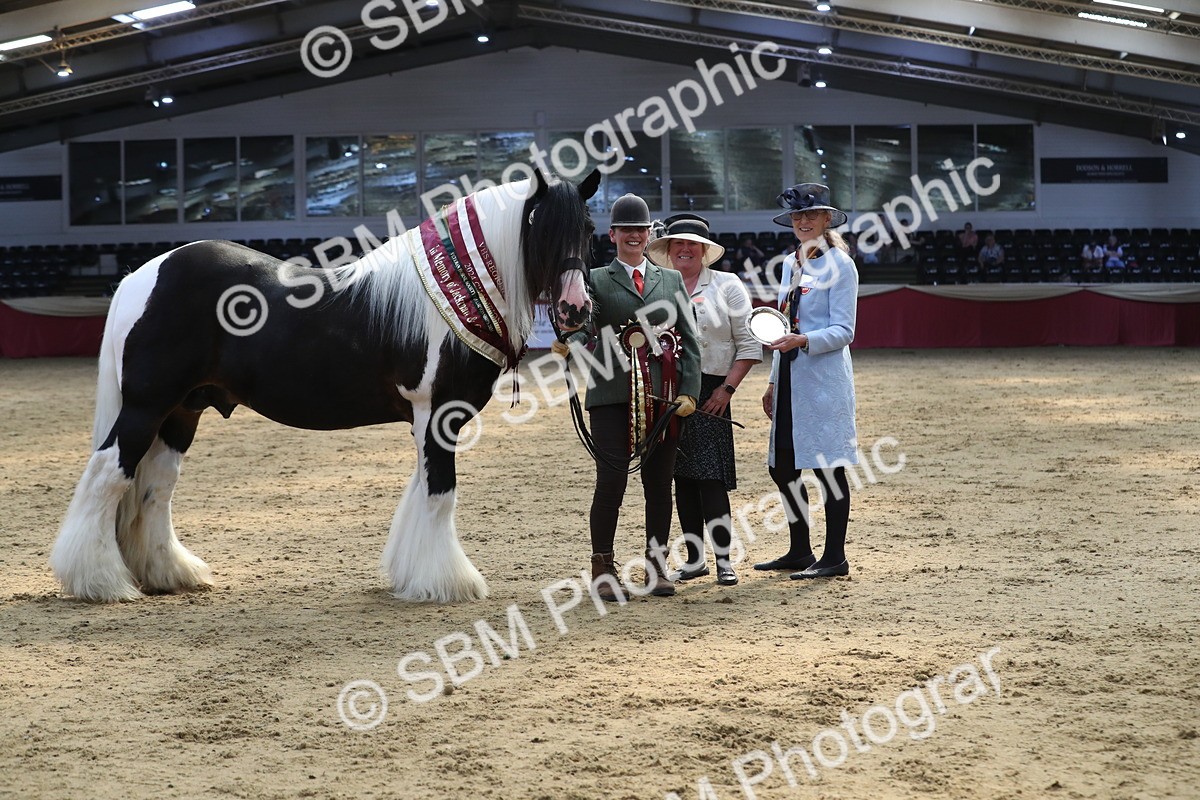 SBM_06580 - Regional IH Champ
