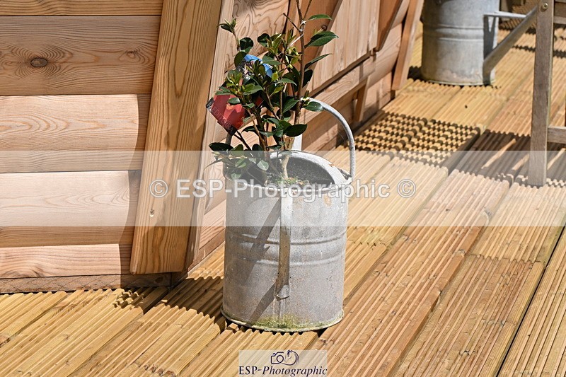 240608A-140426-02704 - Cls 4 Snr Newcomers and 1.10m Open