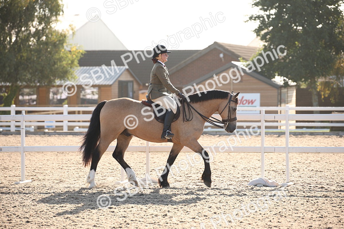 SBM_00615 - Class 14 Ridden M&M Wildcard