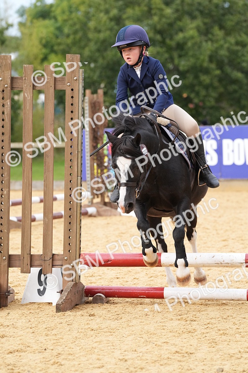 SBM_70636 - J3 - Mini Tour Junior Pony 40cm Championship