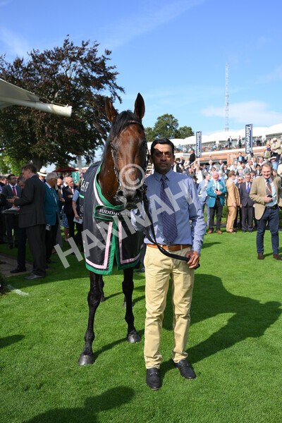 yr18082021r4-158 - Race 4 3.35pm Juddmonte International Stakes (British Champion Series race)