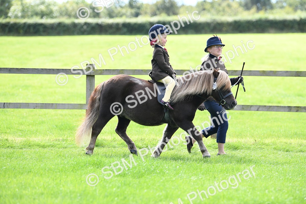 SBM_42510 - S20 - Lead Rein Mountain & Moorland Pony