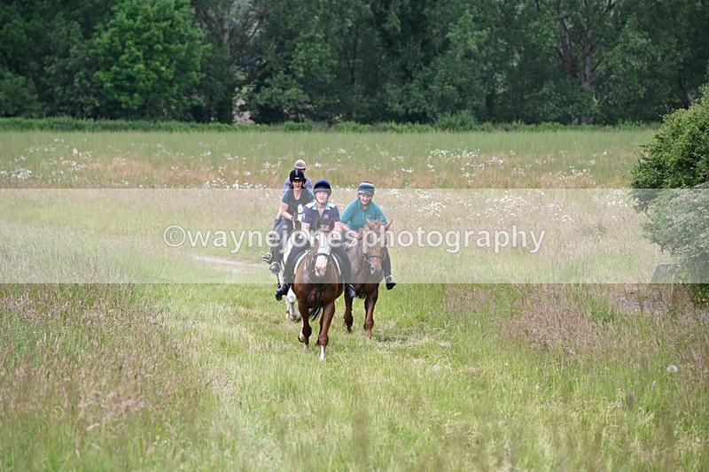 WJ6_8164 - Camera 1 Gallops