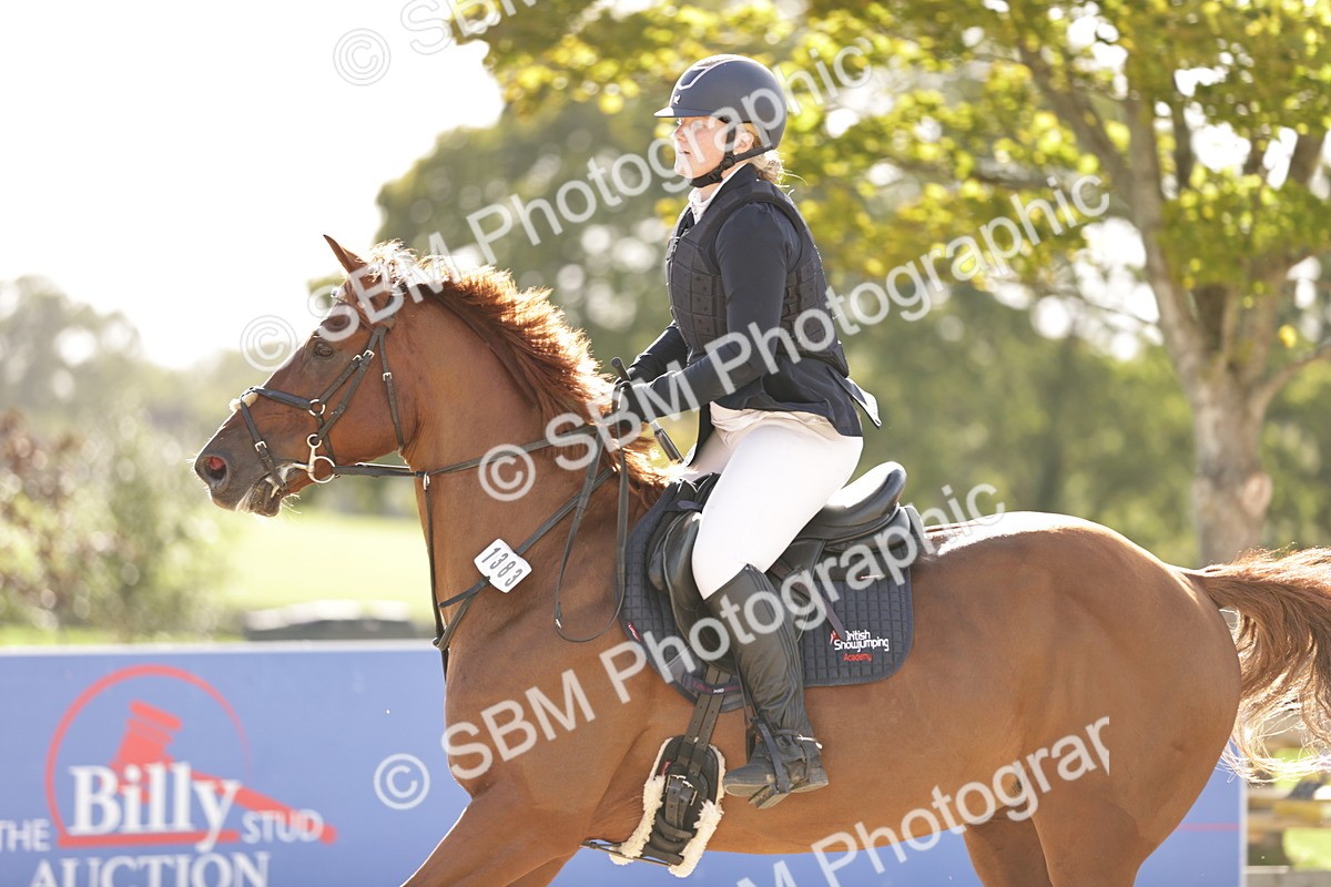 SBM_28316 - J46 - Accumulator 80 90cm