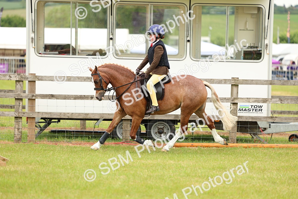 SBM_10278 - Class 44-45 - LIHS BSPS Open Nursery and Cradle Stakes