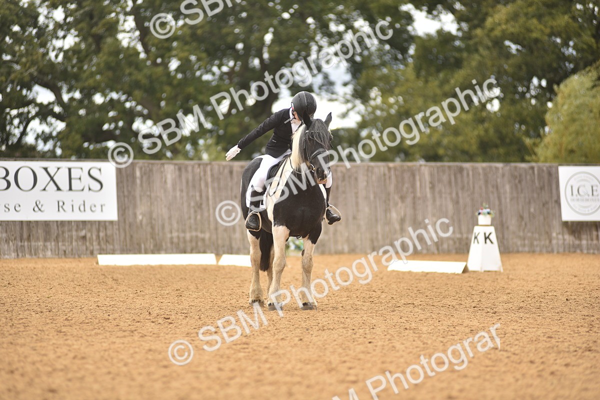 SBM_42552 - D22 - Junior Championship Intro 3