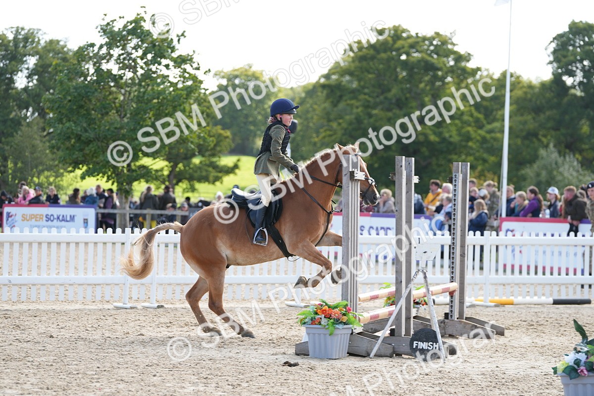 SBM_48466 - J7 - Junior Pony 60cm Championship