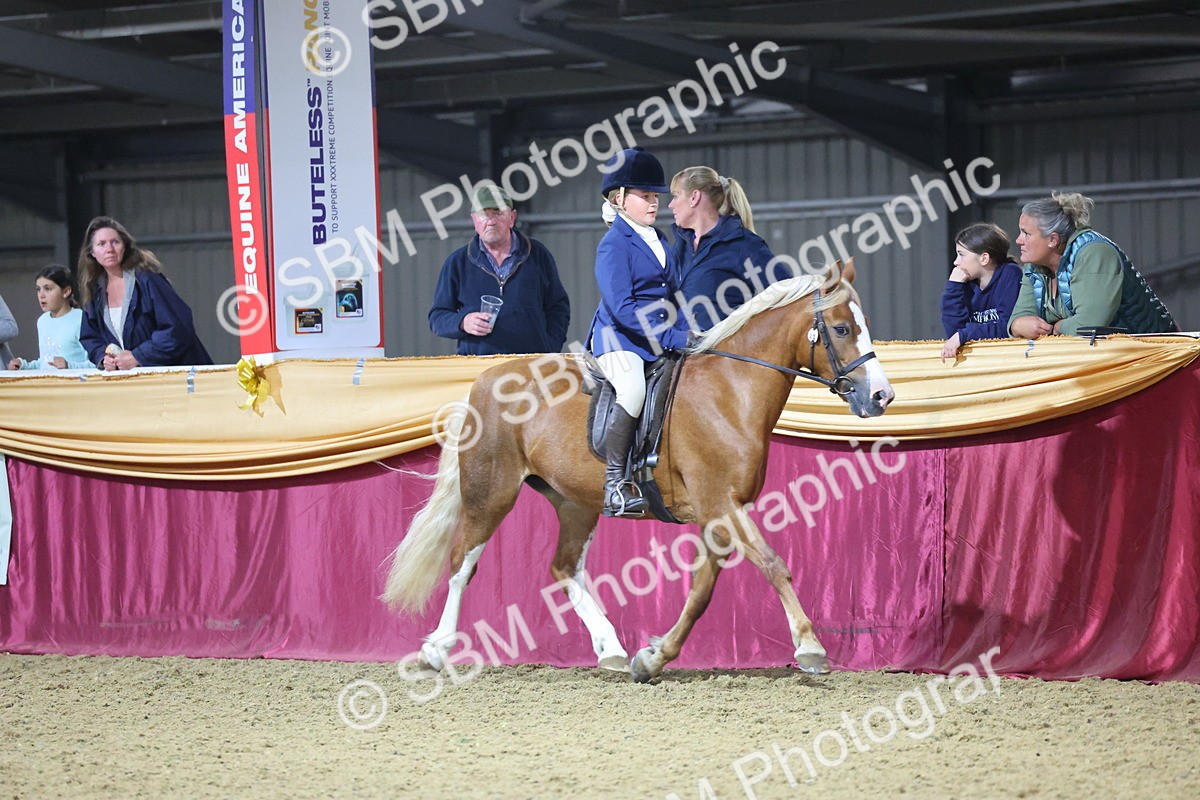 0B8A4591 - Class Q Style & Performance Champ