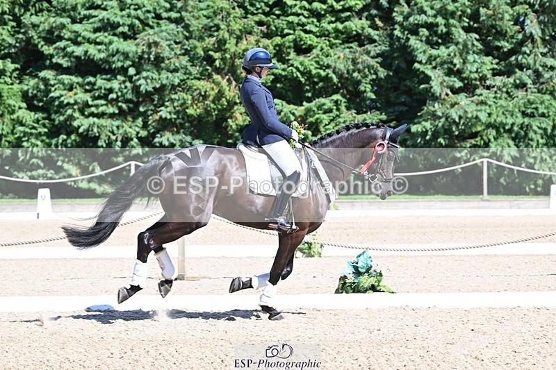 240811-153530-06689 - Adv Medium Gold