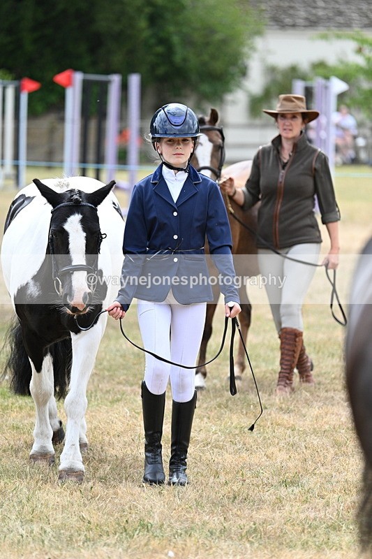 WJ7_1404 - Class 4 Prettiest Mare up to 14.2hh in hand