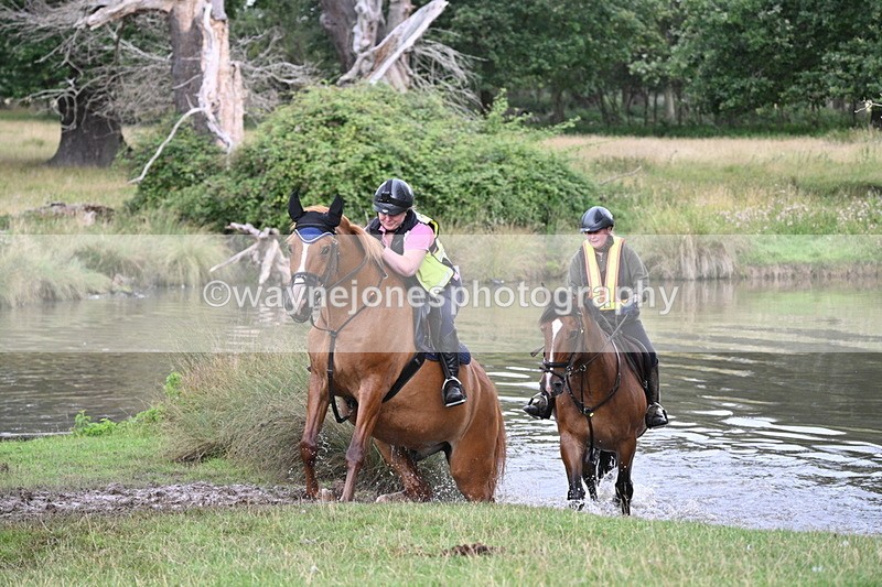 WJ7_4916 - Time at Water 14:00 to 14:53