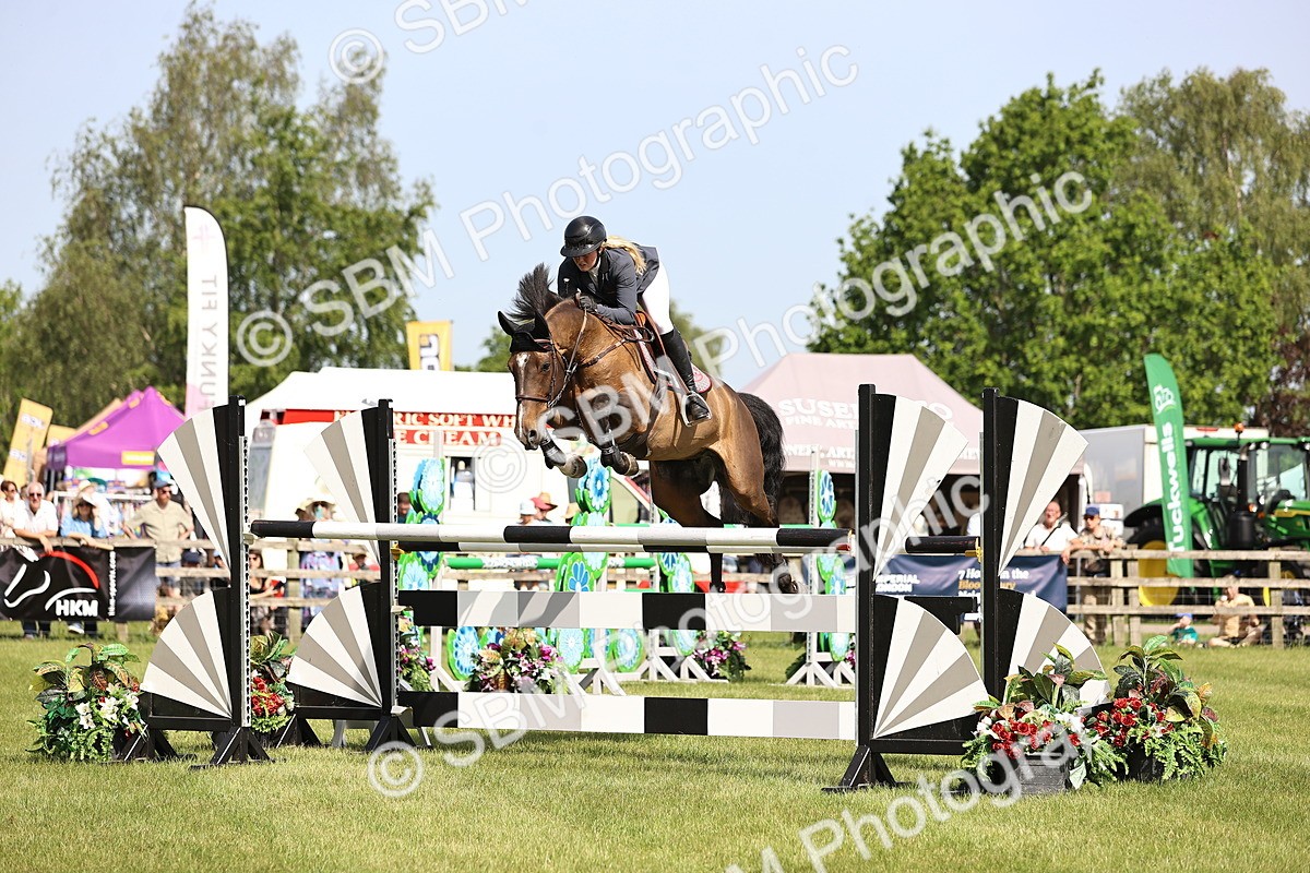 SBM_02947 - Class 201 - British Horse Feedds Speedi Beet HOYS Grade C