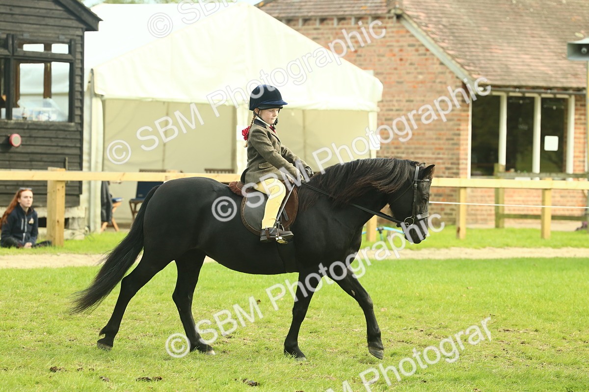 SBM_69775 - S59 - Mountain & Moorland Ridden Small Breeds
