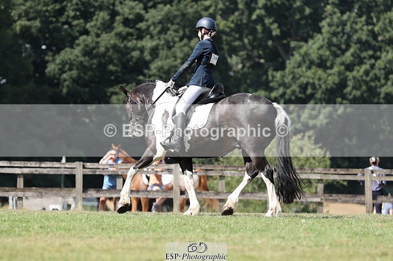 250823A-121038-29417 - Arena D