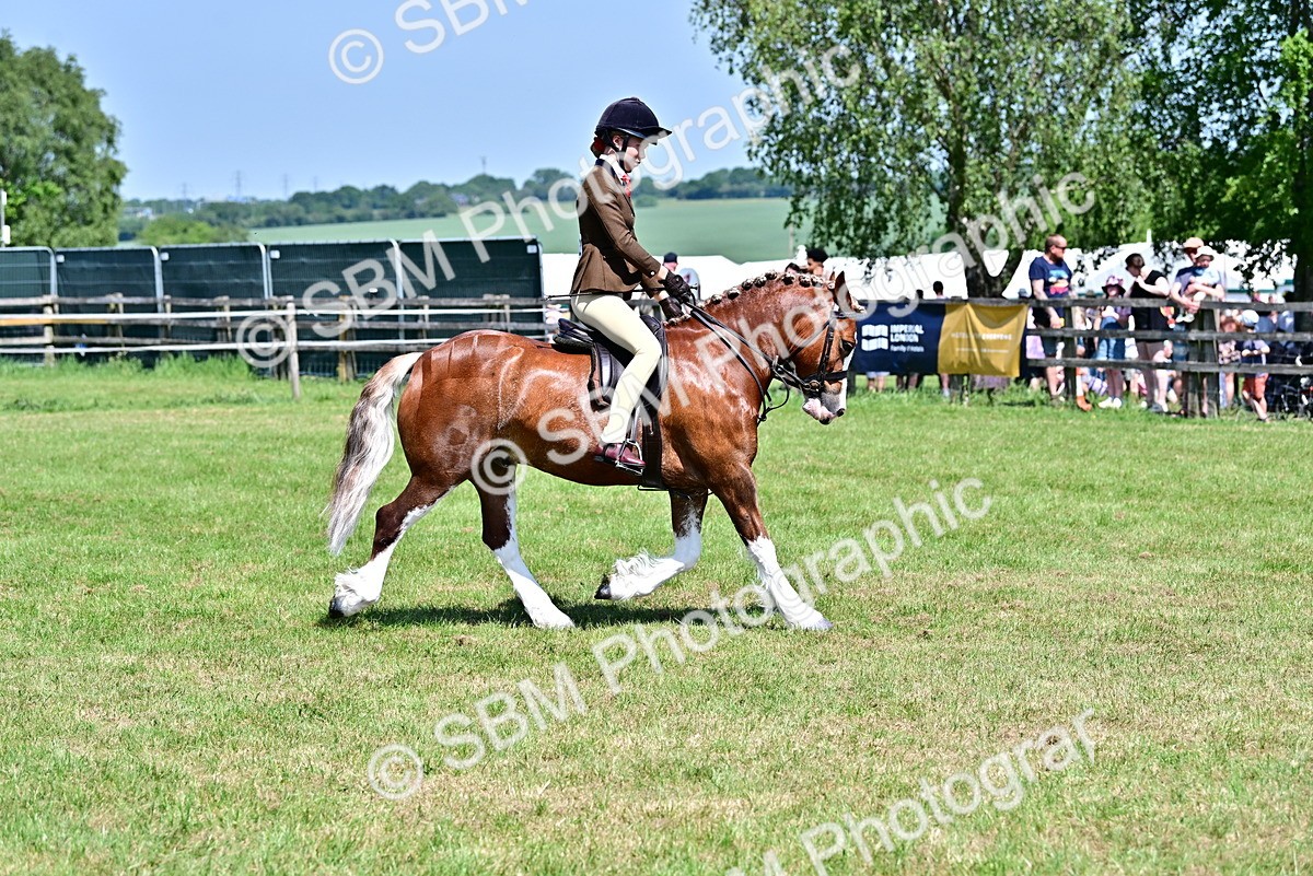 SBM_15296 - Class 95-97 - BSPS LHS Performance Ponies