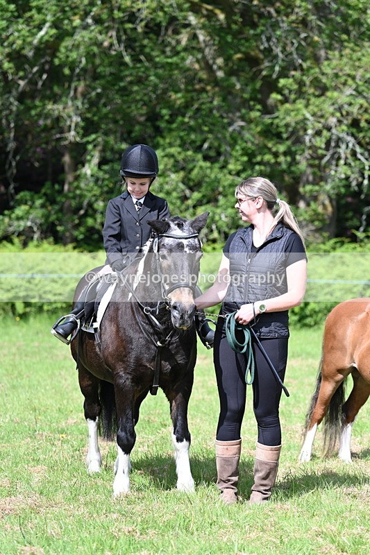 WJ7_0893 - Class 8 First Rally Pony