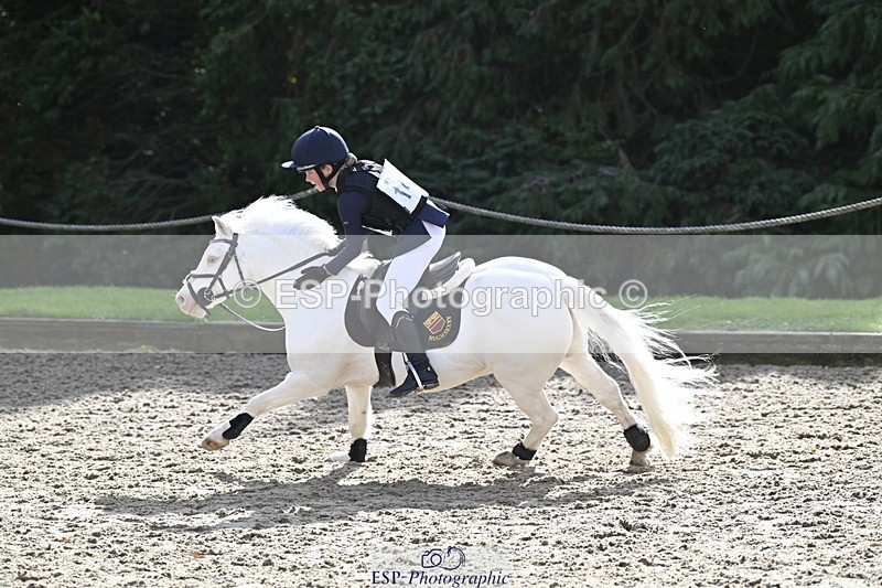 251005A-121735-03710 - Cls 08 Mini 70-75cm