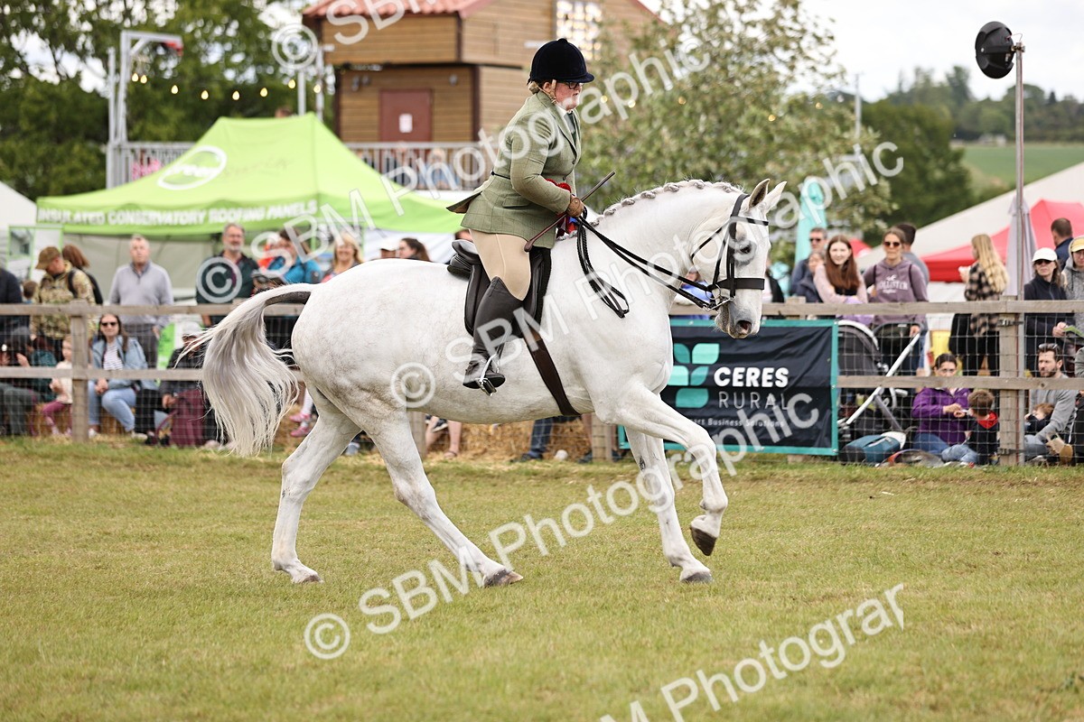 SBM_14830 - Class 88-89 - LIHS BSHA Rising Star of Ridden Hunter Type