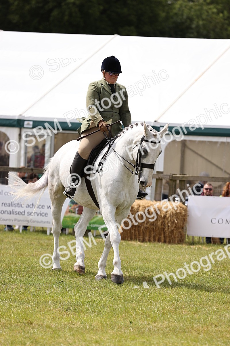 SBM_14703 - Class 88-89 - LIHS BSHA Rising Star of Ridden Hunter Type