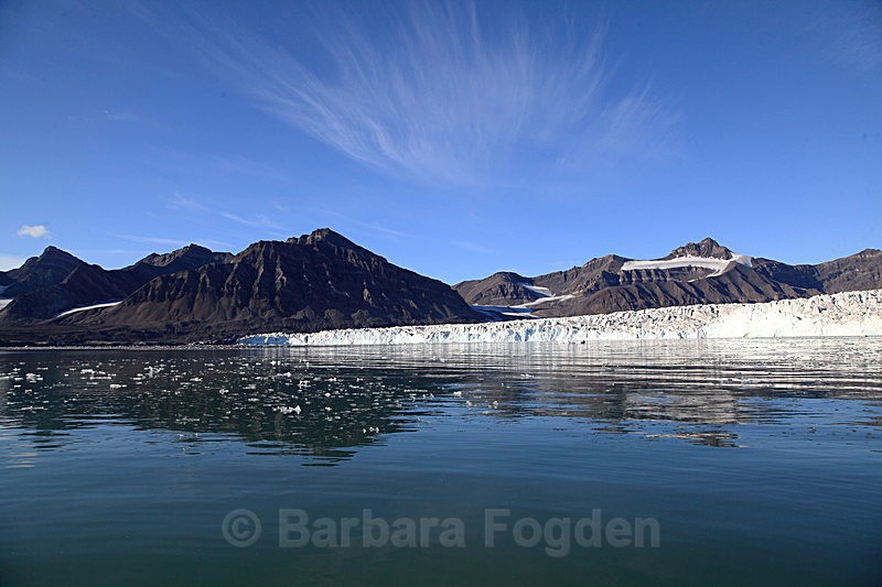 Sveabreen 12 - Latest Photos