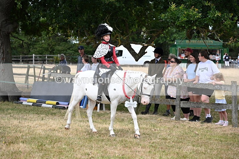 WJ6_4610 - Class 11 Fancy Dress