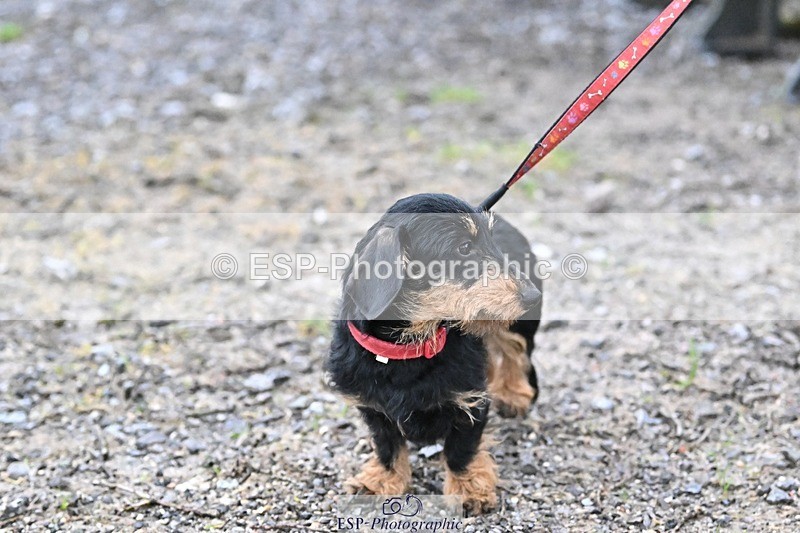 241206-144223-01128 - Naomi