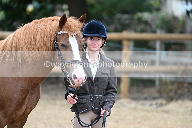 WJ7_8222 - Class 4 Prettiest Mare up to 14.2hh