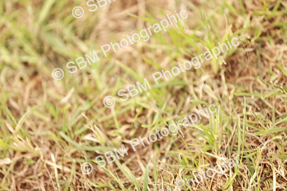 SBM_14079 - Class 85-87 - RIHS Cobs