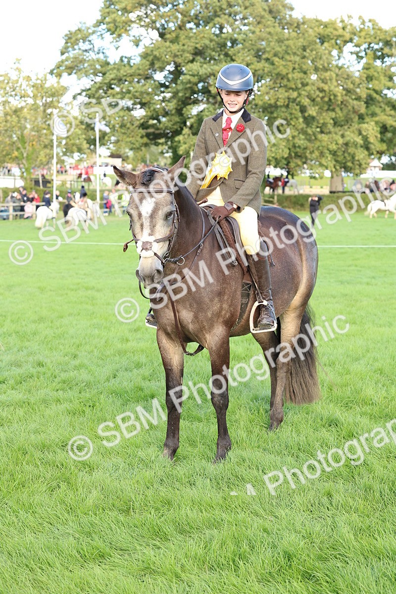 SBM_50206 - S34 - Novice & Newcomers Working Hunter