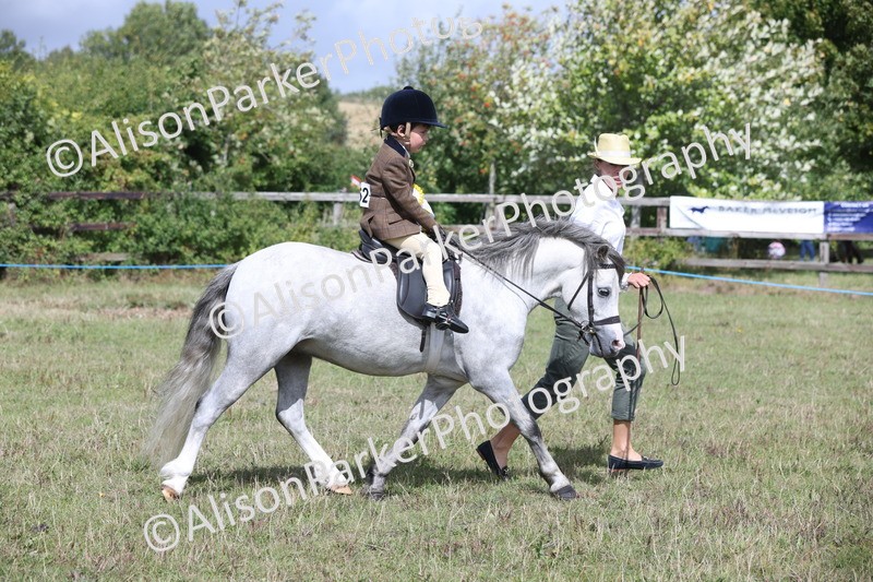 20250831-2774 - Class 17 - Lead Rein Pony