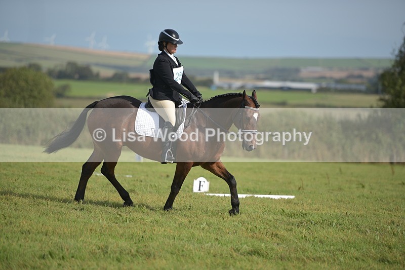 RAY_7751 - Class 2B: Trekenning Open: Dressage