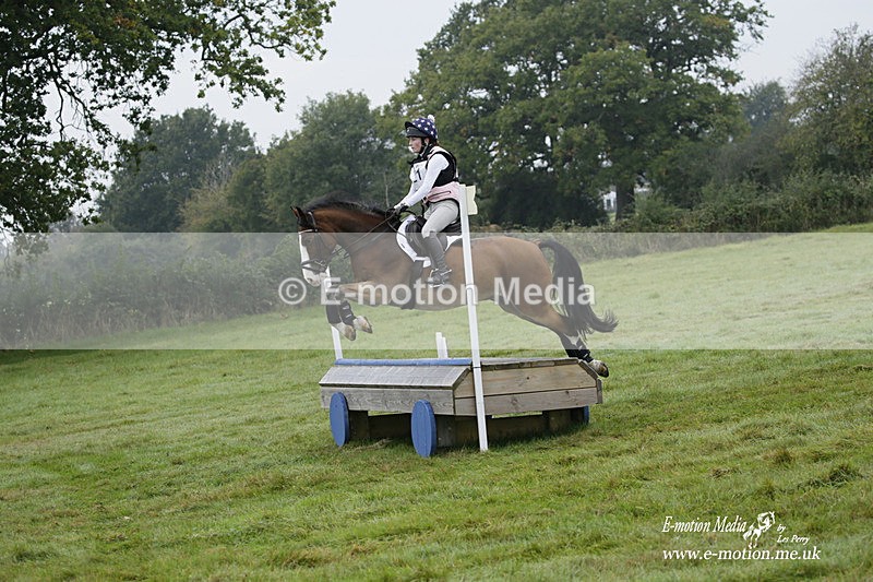 WWHT 171021 0158 - Novice Restricted (0.80m)  17/10/21