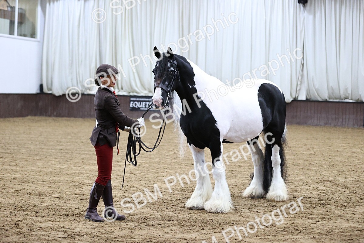 SBM_5685 - Class 40 - RESS In Hand Qualifier