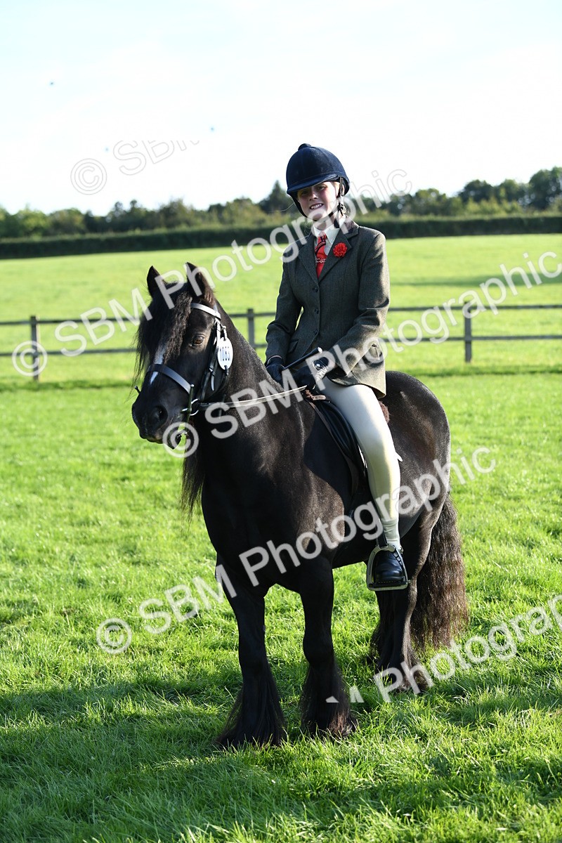 SBM_54127 - S23 - 1st Ridden Mountain & Moorland Pony