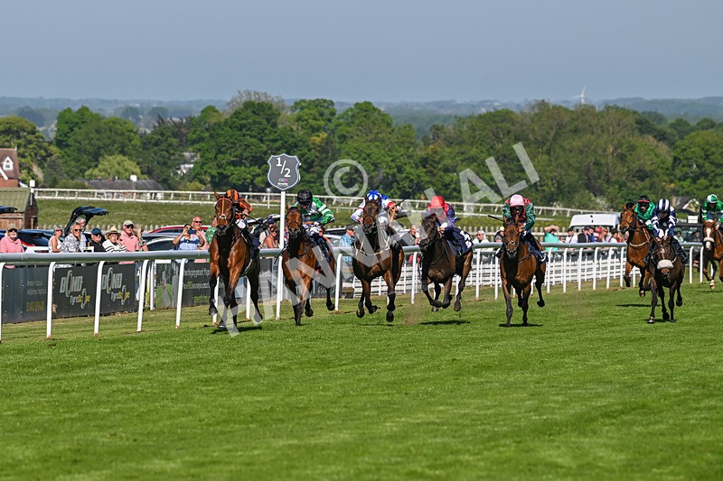 130525-Race 6-Analogical-0404 - Race 6