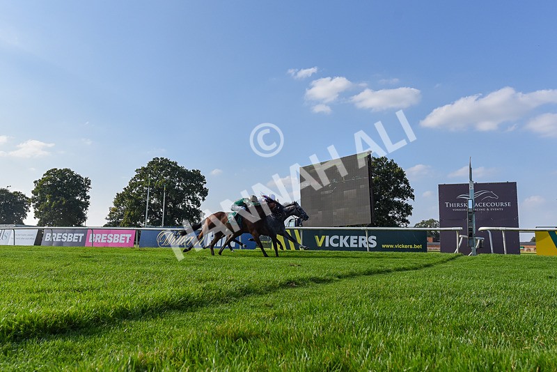 300824-Race 7-The Crafty Mole-5451 - Race 7