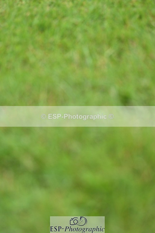 240526-134500-23070 - 443-FIGARO_DES_PREMICES-Alexander_Peternell