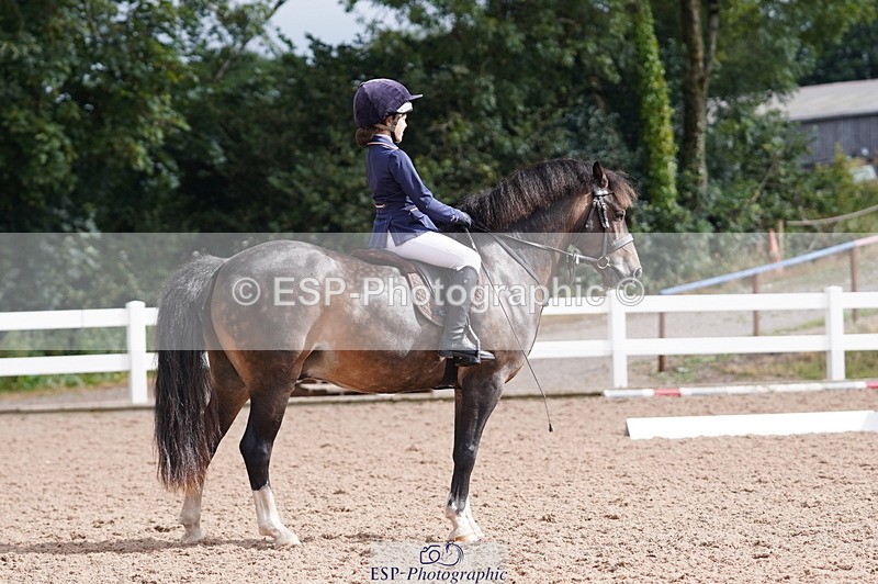 240809A-100106-00397 - Dressage Competition