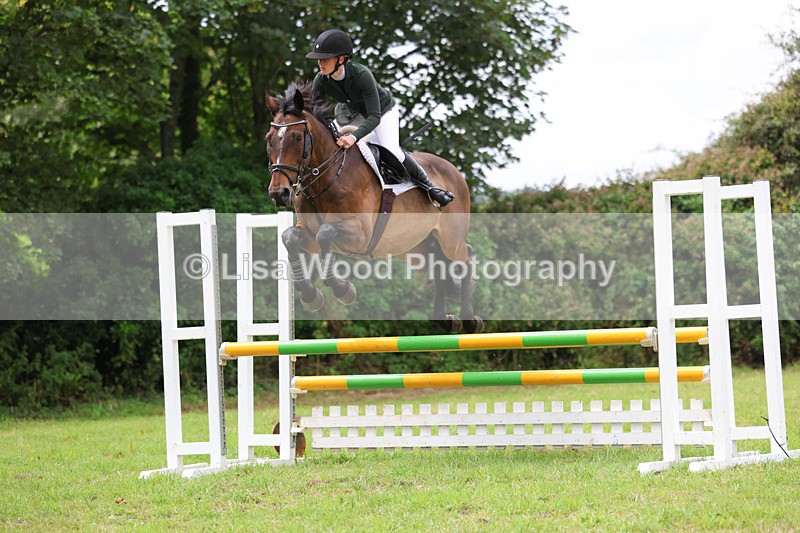 3E7A7293 - Class 5: Senior British Novice/90cm open