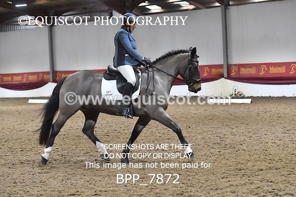 BPP_7872 - ELEM TEST 6