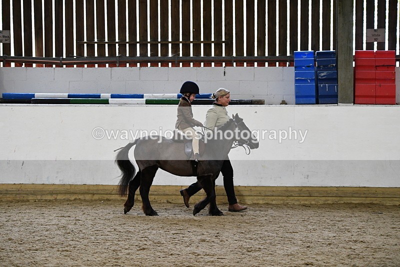 WJ5_6606 - Class 10 Childs Pony