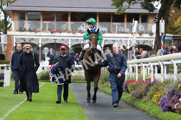 yr07102022r2-36 - Race 2 2.40pm William Hill Autumn Mile