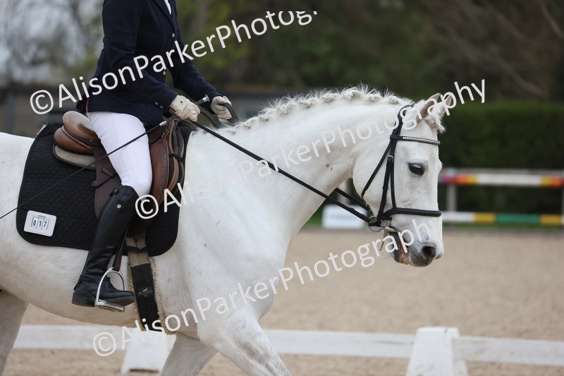 20260404-0147 - Class 2 - Intro 4