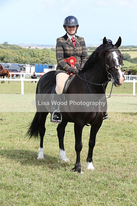 JPP_2447 - Class 19: Working Hunter 60cm