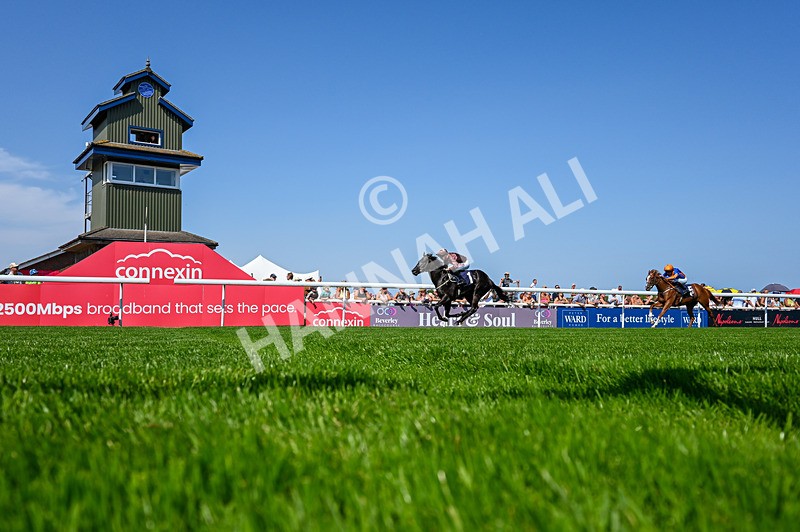 130826-Race 2-Concert Pitch-5257 - Race 2 14.45pm Welcome Racing TV Club Members Nursery Handicap
