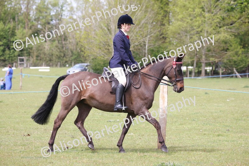 20260426-2941 - Class 33 - Best Pony 14.2hh and Under