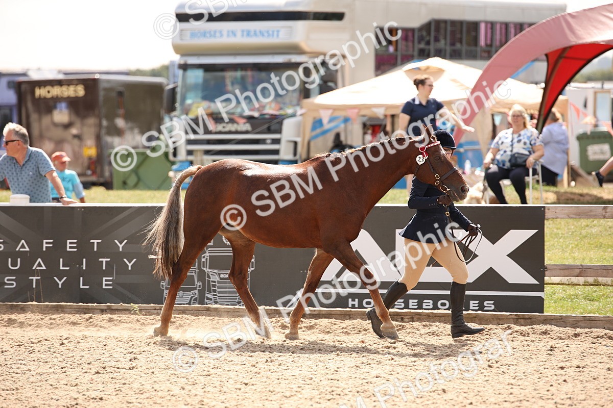 SBM_04580 - Class 20 IH Veteran