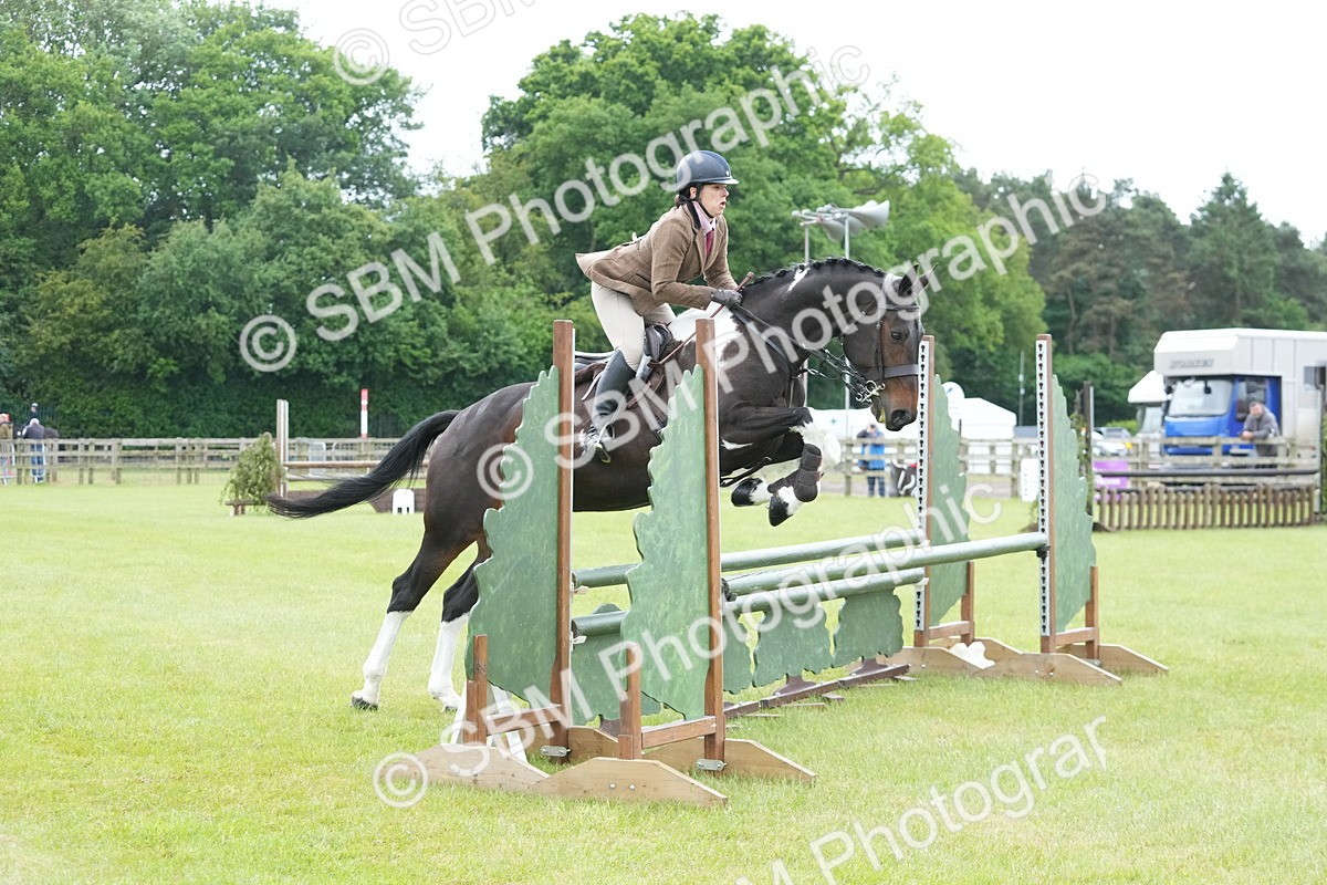 SBM_12561 - Class 97-98 - LIHS BSHA Rising Star Working Show Horse Hunter