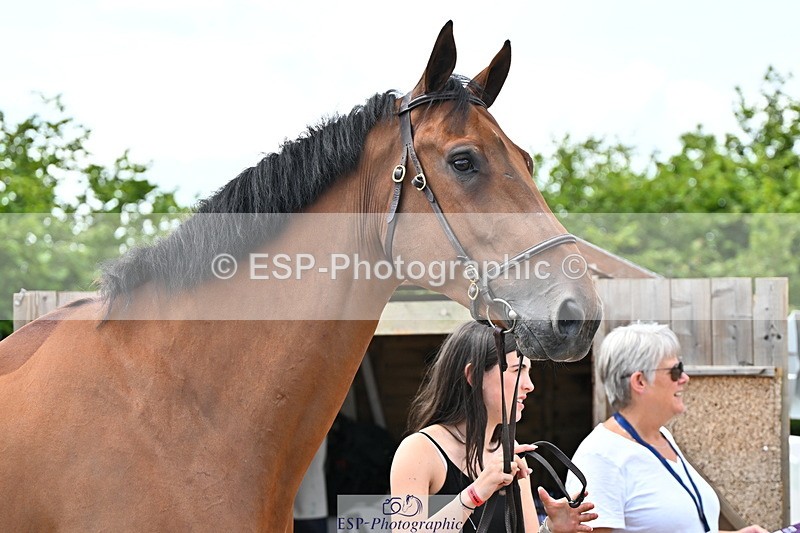240718A-105323-01920 - Trot Up 2pm to 3pm - This folder is not in time order