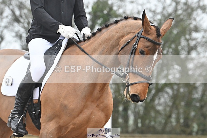 240217A-112046-01301 - 249-Joe.Roome-Acqua.Marina.Della.Caccia